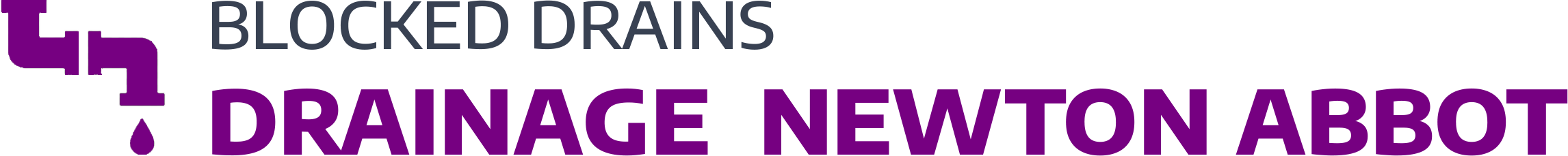 website logo